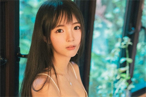 上海的农业保险制度探讨